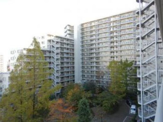 ダイアパレス猿江恩賜公園 物件写真 建物写真9