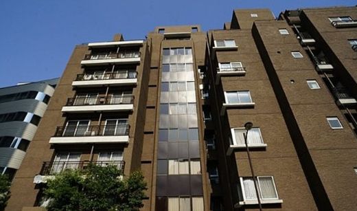 番町千鳥ヶ淵アビタシオン 物件写真 建物写真8