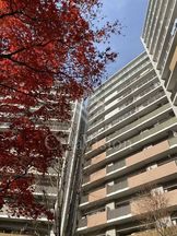 エスティメゾン豊洲レジデンス 外観 外観 物件画像1