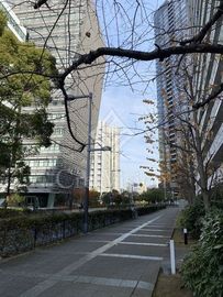 エスティメゾン豊洲レジデンス 外観 物件画像5