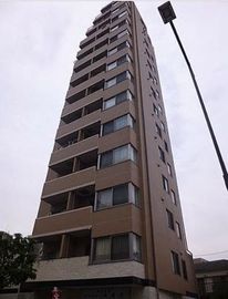ラグジュアリーレジデンス新宿 物件写真 建物写真5