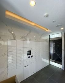 ALTERNA門前仲町 (オルタナ門前仲町) 物件写真 建物写真4