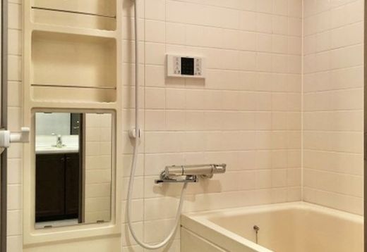 シティハイツ根津 物件写真 建物写真13