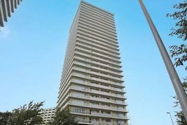 ザ・リバープレイスイーストタワー 物件写真 建物写真2