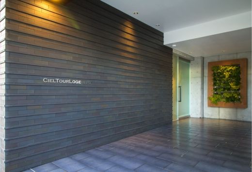 シエルトゥールロジュマン 物件写真 建物写真5