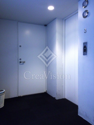 ベルメゾン南麻布グラン 建物　写真