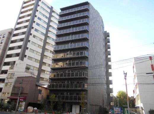 ミルーナヒルズD駒込 物件写真 建物写真5