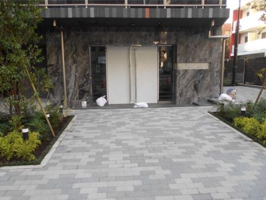ミルーナヒルズD駒込 物件写真 建物写真8