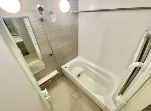 シャリエ亀戸リーディングイースト 物件写真 建物写真21