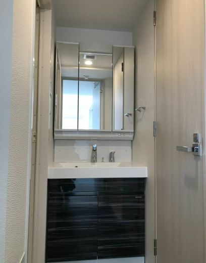 S-RESIDENCE東陽町feliz (エスレジデンス東陽町フェリズ) 物件写真 建物写真13