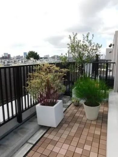 イニシアテラス代々木上原 物件写真 建物写真21