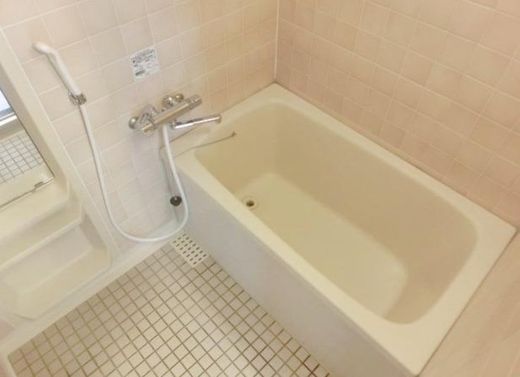 サンリヴァ隅田 物件写真 建物写真15