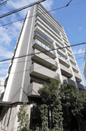 レジデンシャル品川中延グランクラス 物件写真 建物写真2