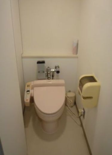 いちご半蔵門ビル トイレ　写真