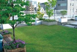馬事畜産会館 物件写真 建物写真5