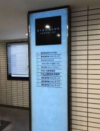 シエルブルー麹町 画像