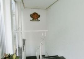六本木フォレスト 写真