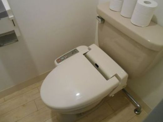 九段北一丁目ビル トイレ　写真
