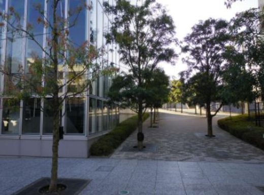 デジタルゲートビル 敷地内　写真