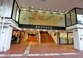 森永プラザビル本館 エントランス　写真