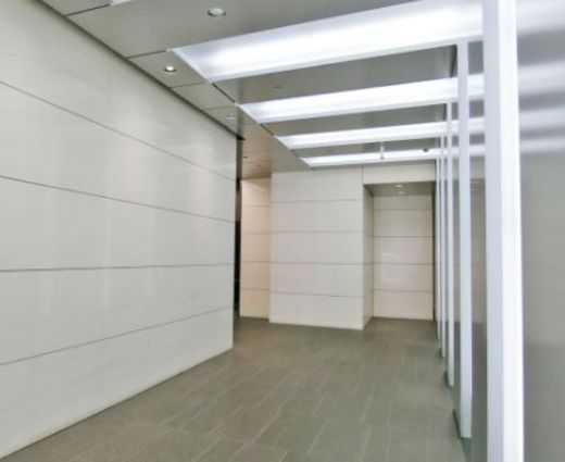 サクセス銀座7ビル 廊下