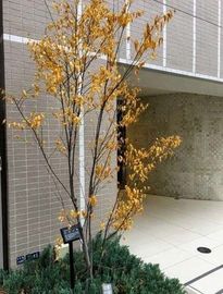 GREEN PARK 日本橋小伝馬町 物件写真 建物写真4