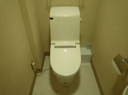 ユニゾ日本橋富沢町洋和ビル トイレ　写真
