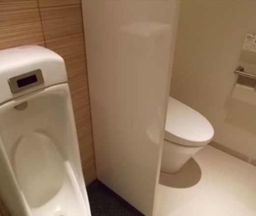 Daiwa神田橋ビル(旧:神田橋PR-EX) 男性用トイレ　