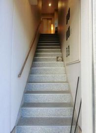 篠田ビル(SOHO) 階段