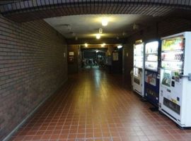 ニューシティハイツ日本橋 物件写真 建物写真3