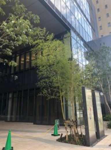 文京ガーデンセンターテラスSC棟(店舗) 物件写真 建物写真4