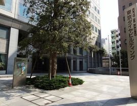 東京ダイヤビルディング2号館 エントランス　画像