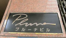 プルーナビル 画像