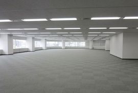 イヌイビル・カチドキ 室内