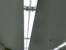 東実共済西ビル 物件写真 建物写真4