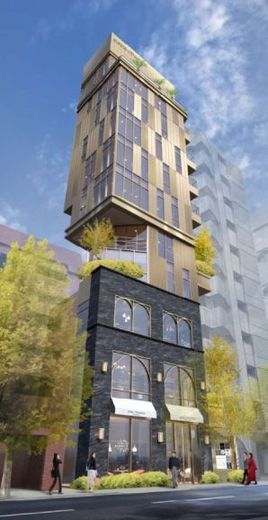 外苑いちょうの杜 物件写真 建物写真1