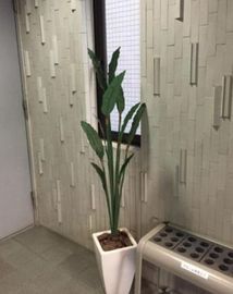 アローム赤坂 共用部　写真