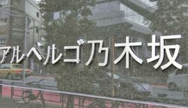 アルベルゴ乃木坂 物件写真 建物写真2