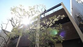 樹下庵 物件写真 建物写真3