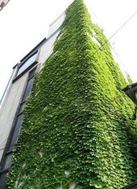MEビル 物件写真 建物写真3
