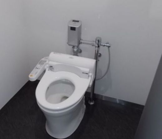 いちご九段ビル トイレ
