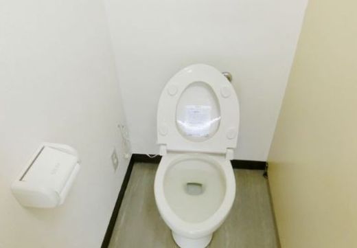 第二進盛ビル トイレ　写真