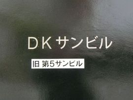 DKサンビル(第5サンビル) エントランス　画像