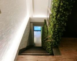 CLASSICO 9-DAN 物件写真 建物写真6