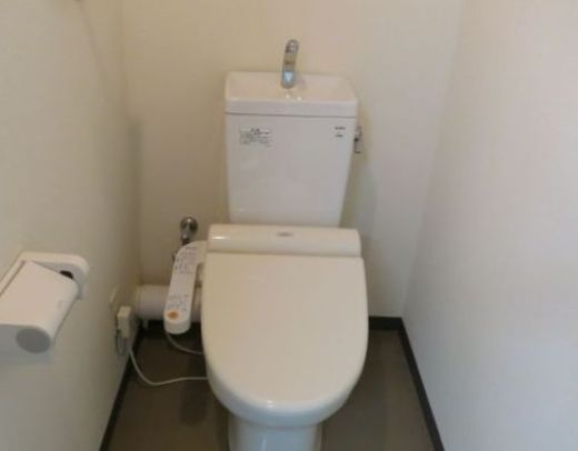 いちご九段南ビル トイレ　写真