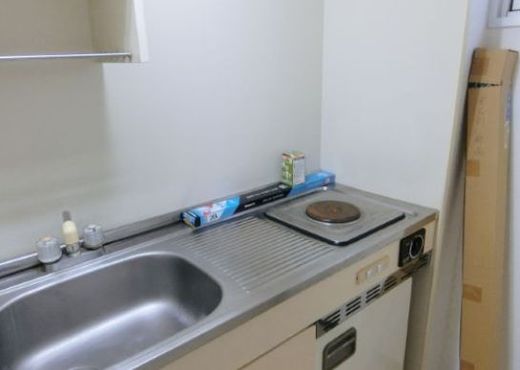 ラシーヌ一番町 物件写真 建物写真11