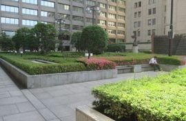 富国生命ビル 敷地内　写真