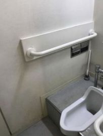 ACN北青山テラス(旧:デュエット厚治ビル) トイレ　写真
