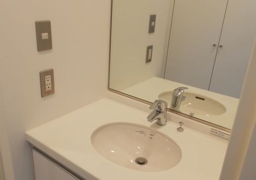 VORT麹町Ⅱ 洗面台　写真