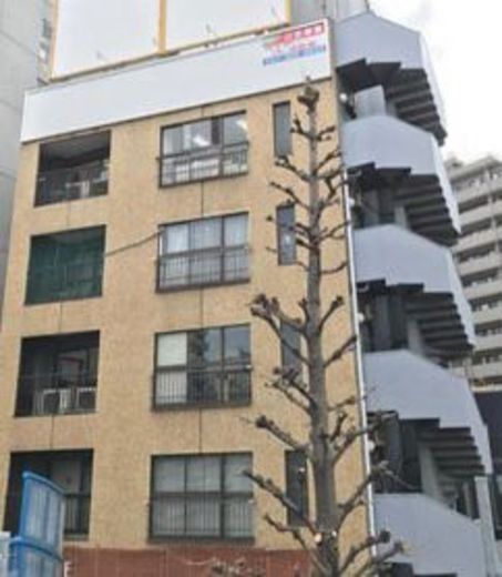 中村ビル(恵比寿) 外観　写真